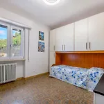 Padulella - Goelba Villa *
